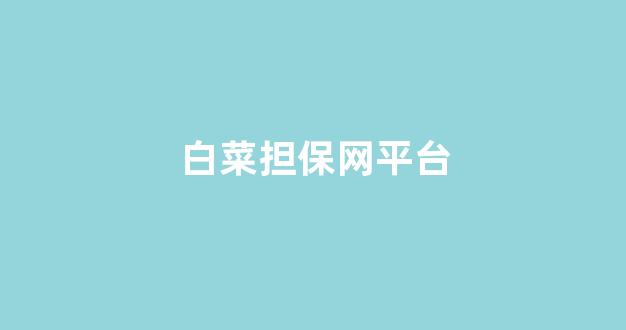 华人策略